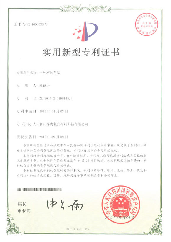 Patent