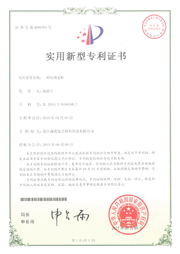 Patent