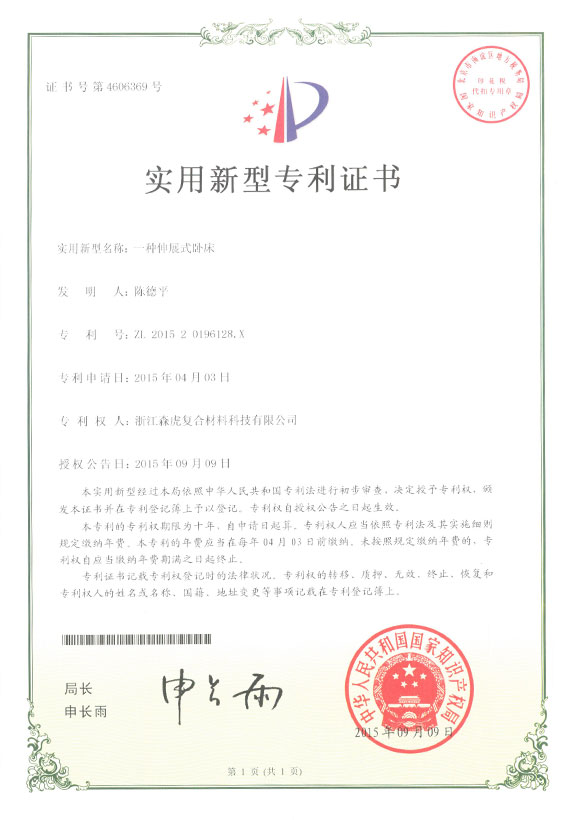 Patent